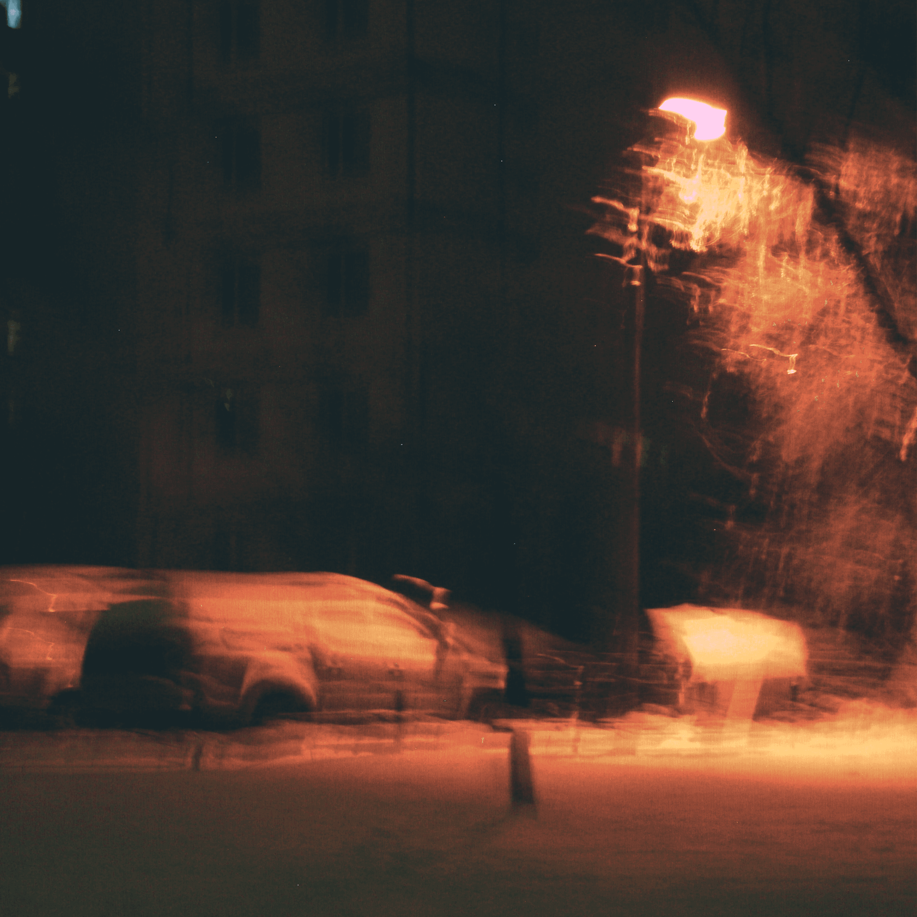 foggy christmas cover